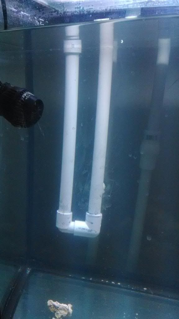 DIY Auto siphon help The Reef Tank